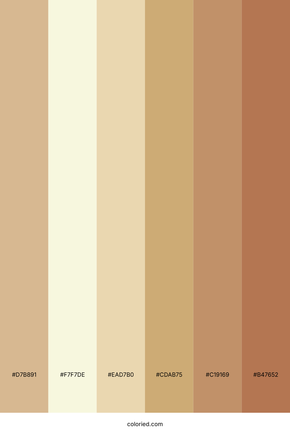 Tan Beige and Brown Color Palette