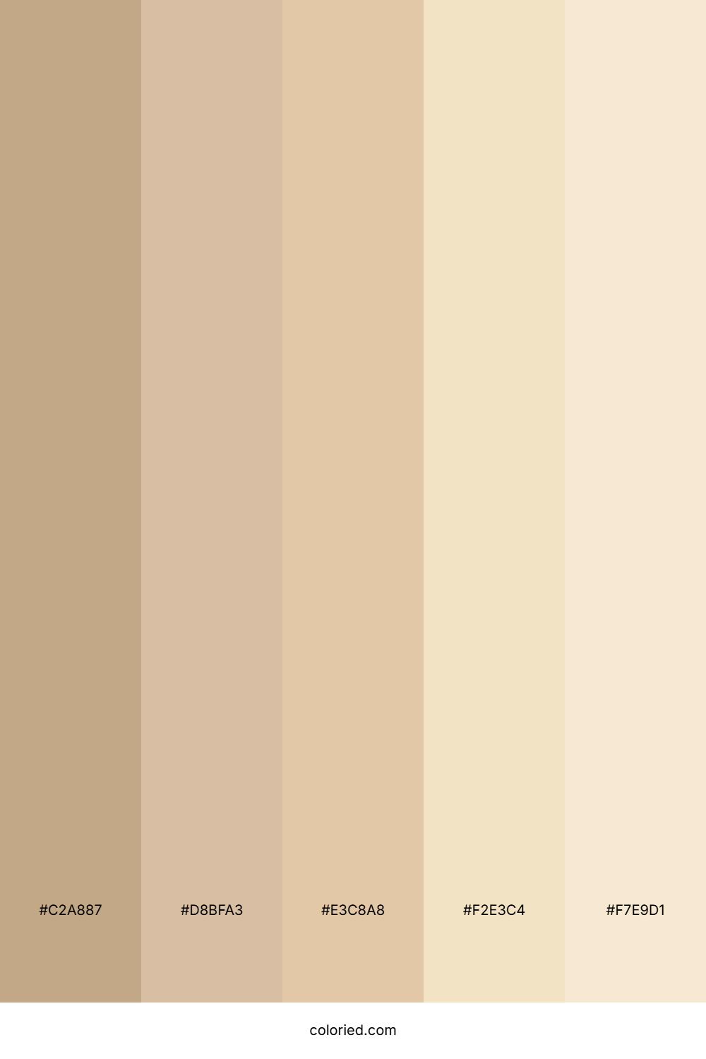 Tan Cream Gradient Color Palette