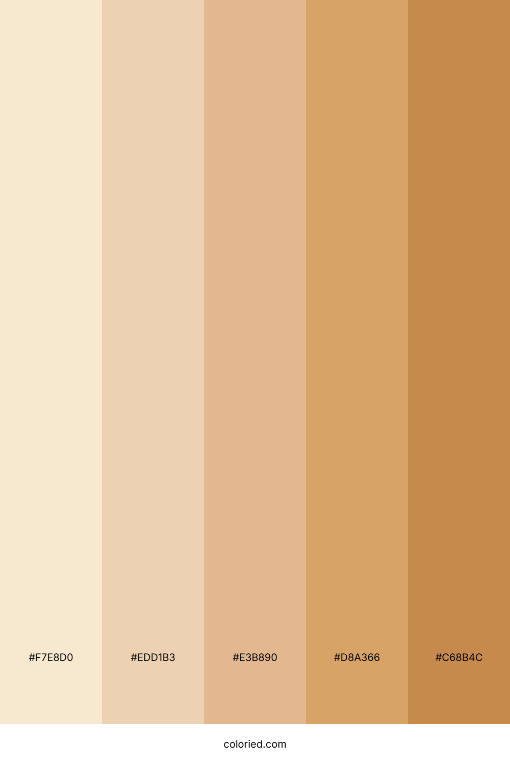 Tan Gradient Color Palette