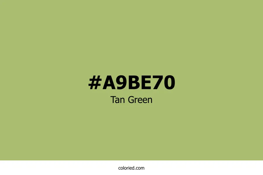 Tan Green Color
