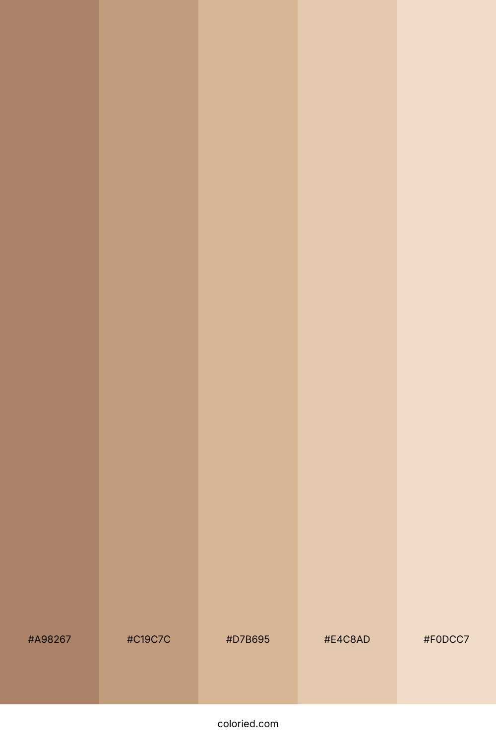 Tan Skin Color Palette