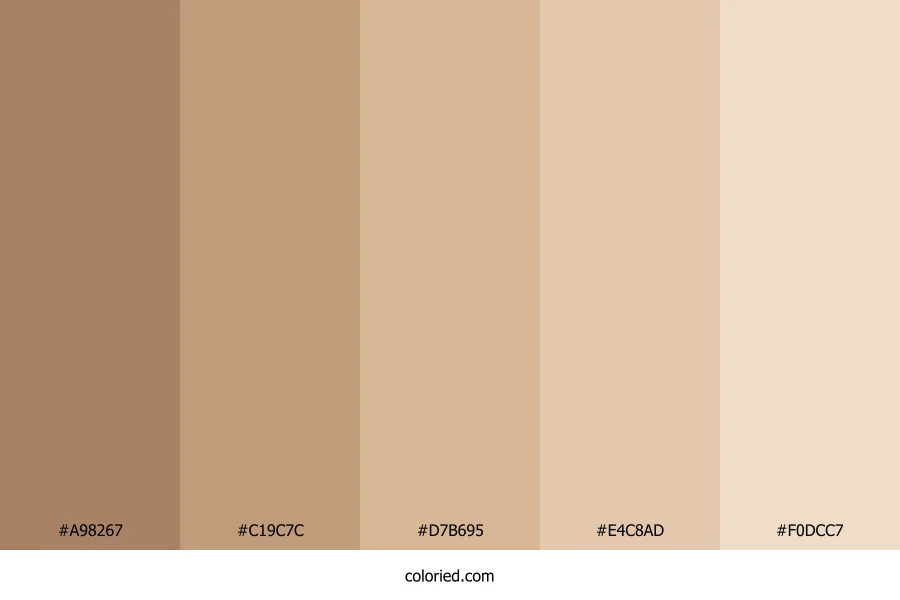 Tan Skin Color Palette