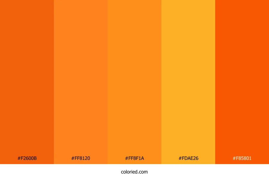 Tangerine and Orange Color Palette