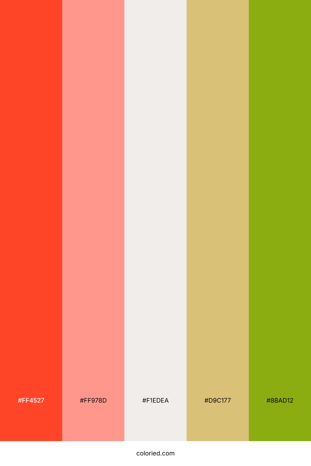 Tangerine Apricot Radiance Color Palette