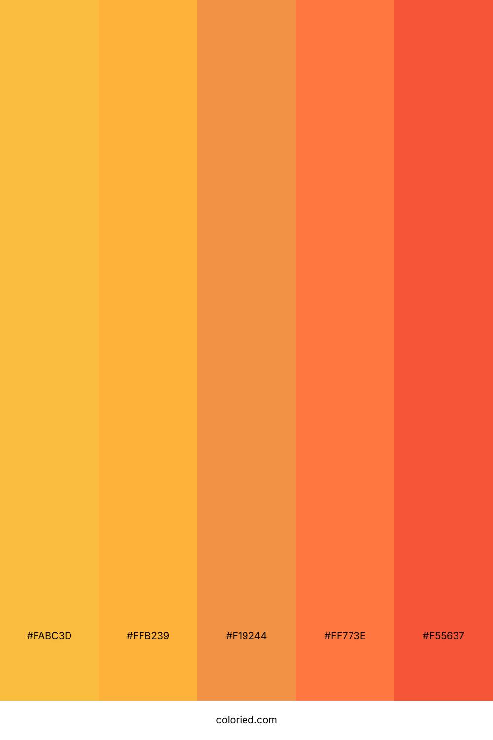 Tangerine Fire Spark Color Palette
