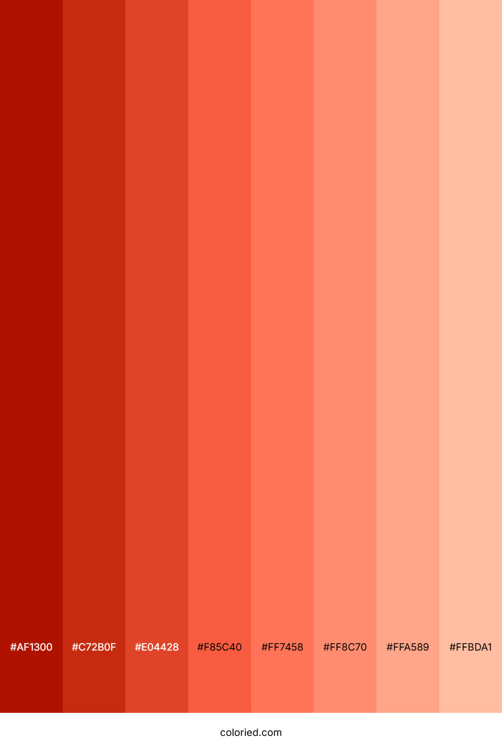 Tangerine Tango Shades