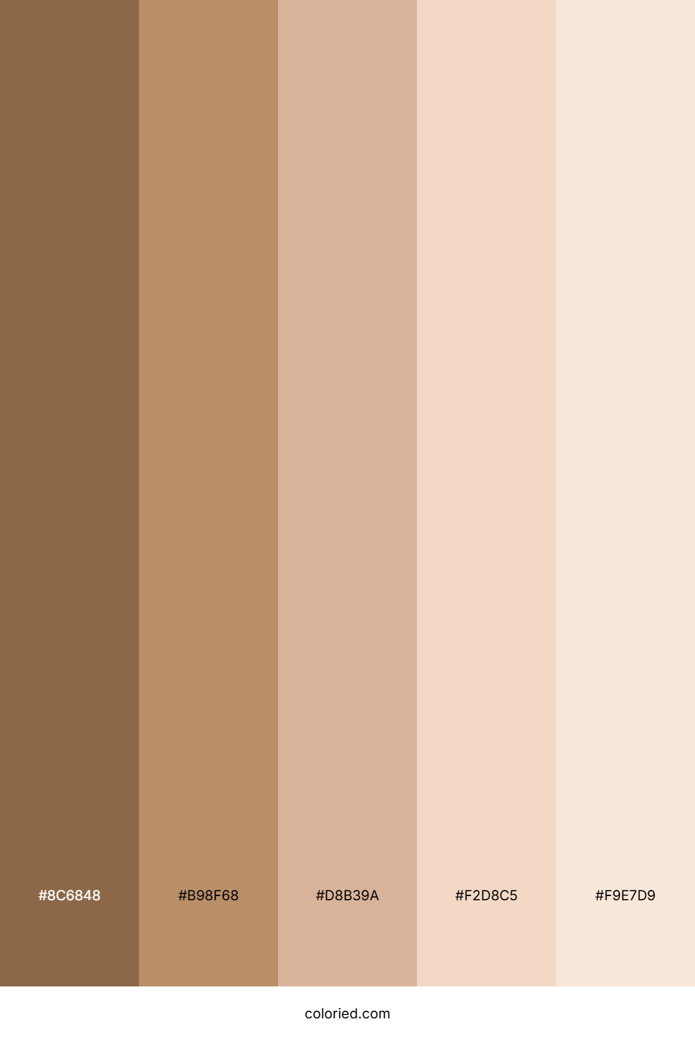 Tanned Skin Color Palette