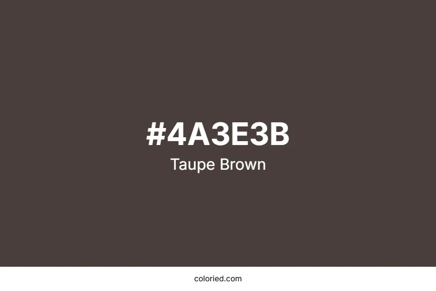 Taupe Brown Color Hex Code
