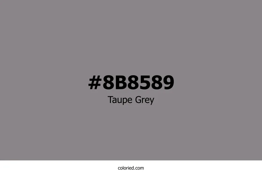 Taupe Grey Color