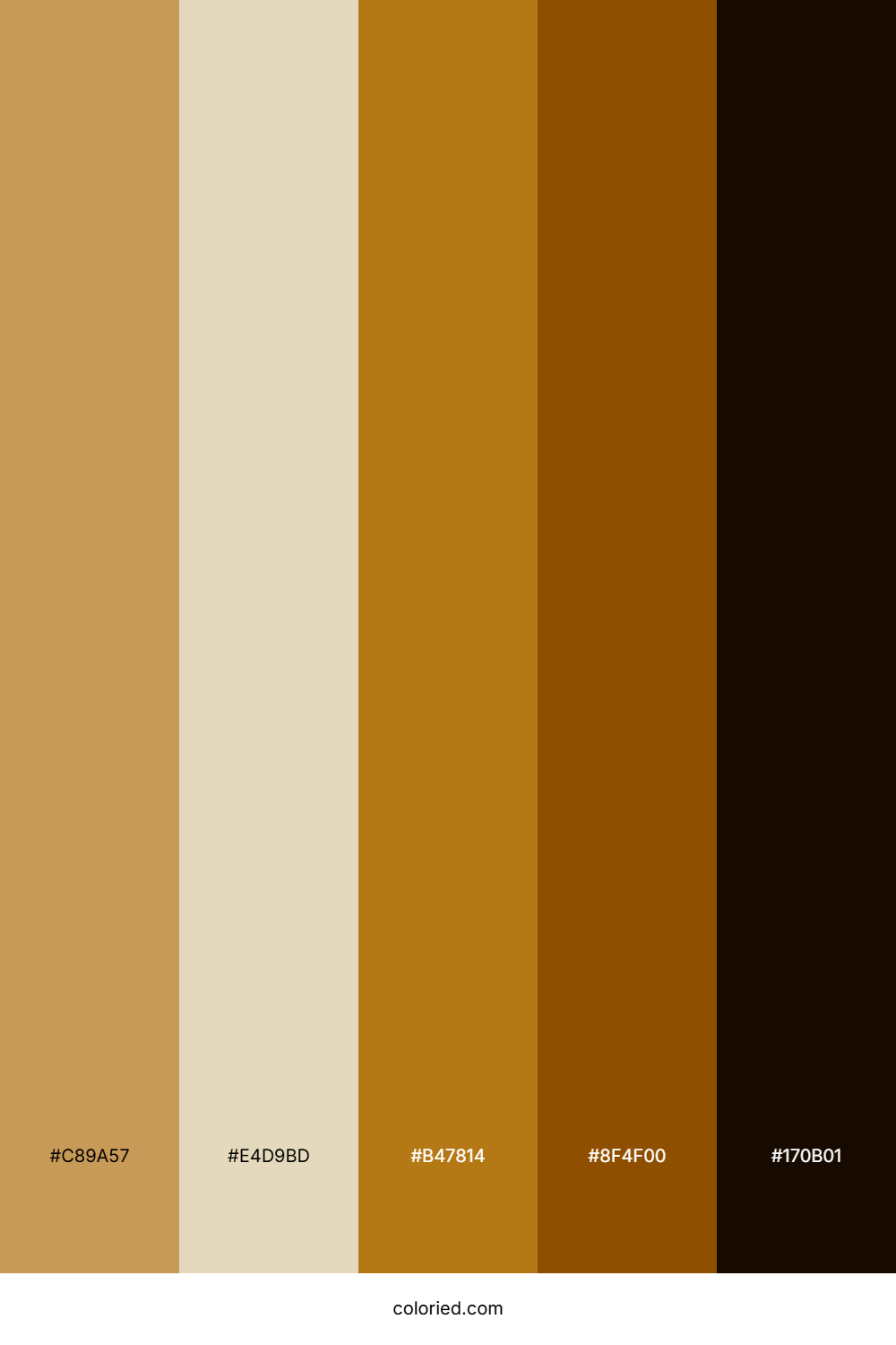 Tawny And Bronze Color Palette