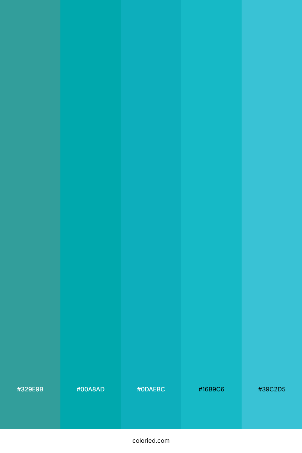 Teal and Cyan Color Palette