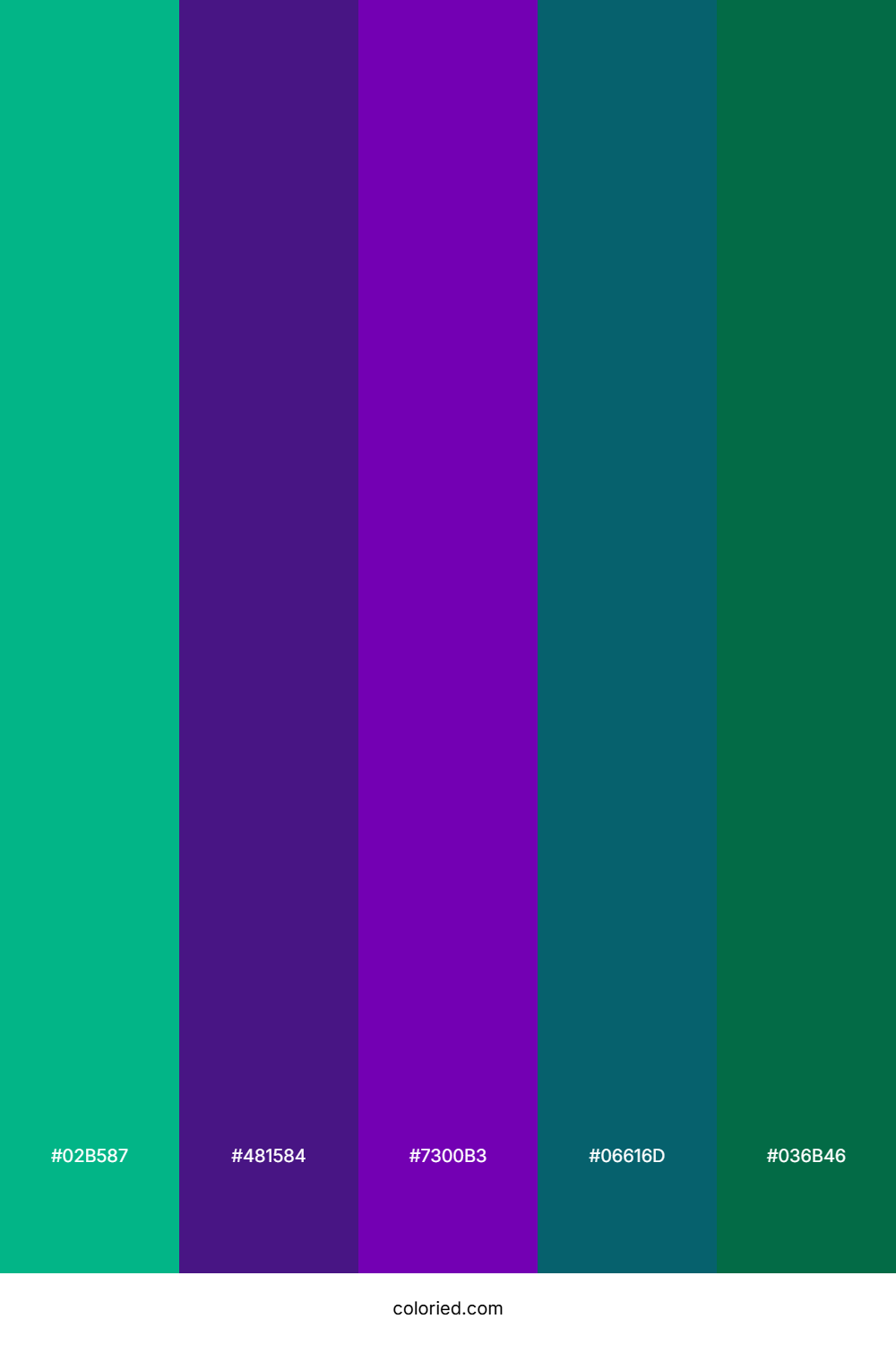 Teal and Deep Purple Color Palette
