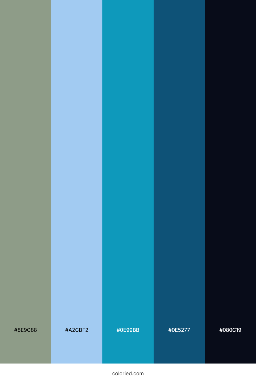 Teal and Midnight Blue Color Palette