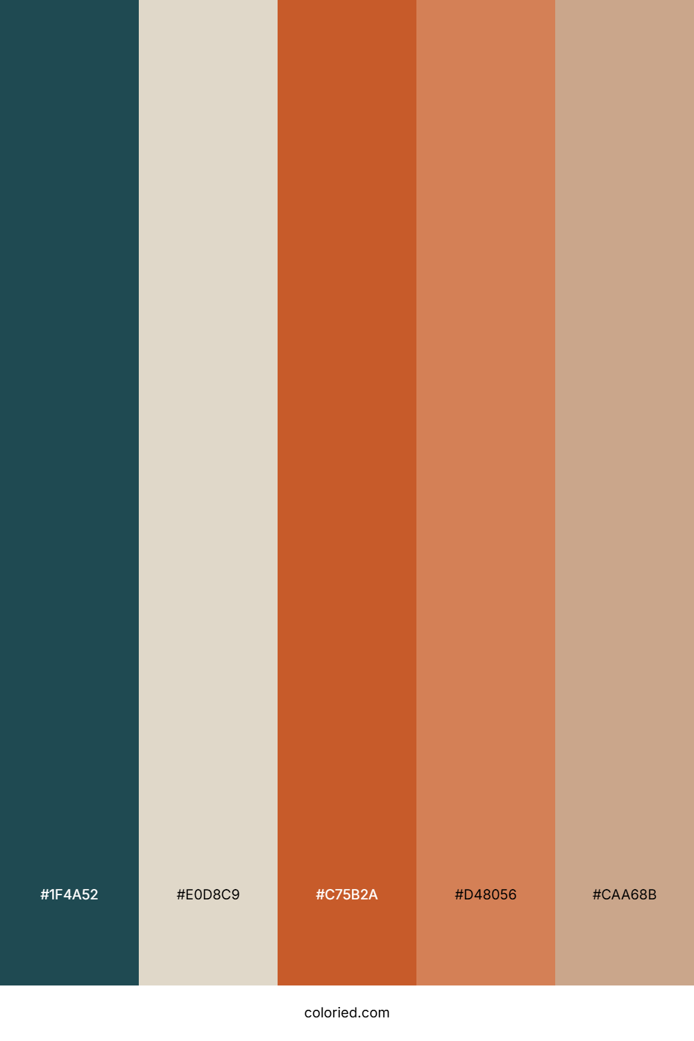 Teal and Terracotta Color Palette