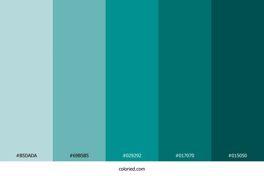 Teal Blue and Deep Teal Color Palette