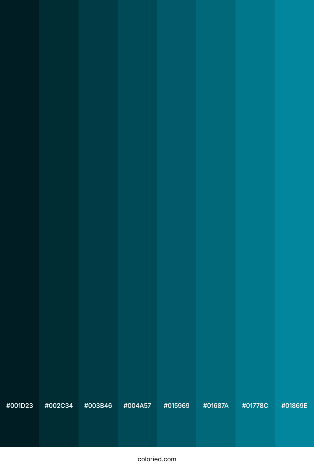 Teal Blue Color Shades