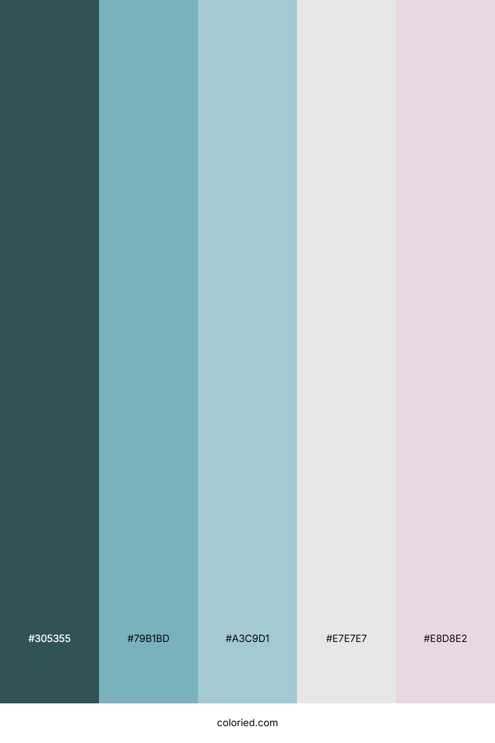 Teal Cloud Stone Color Palette