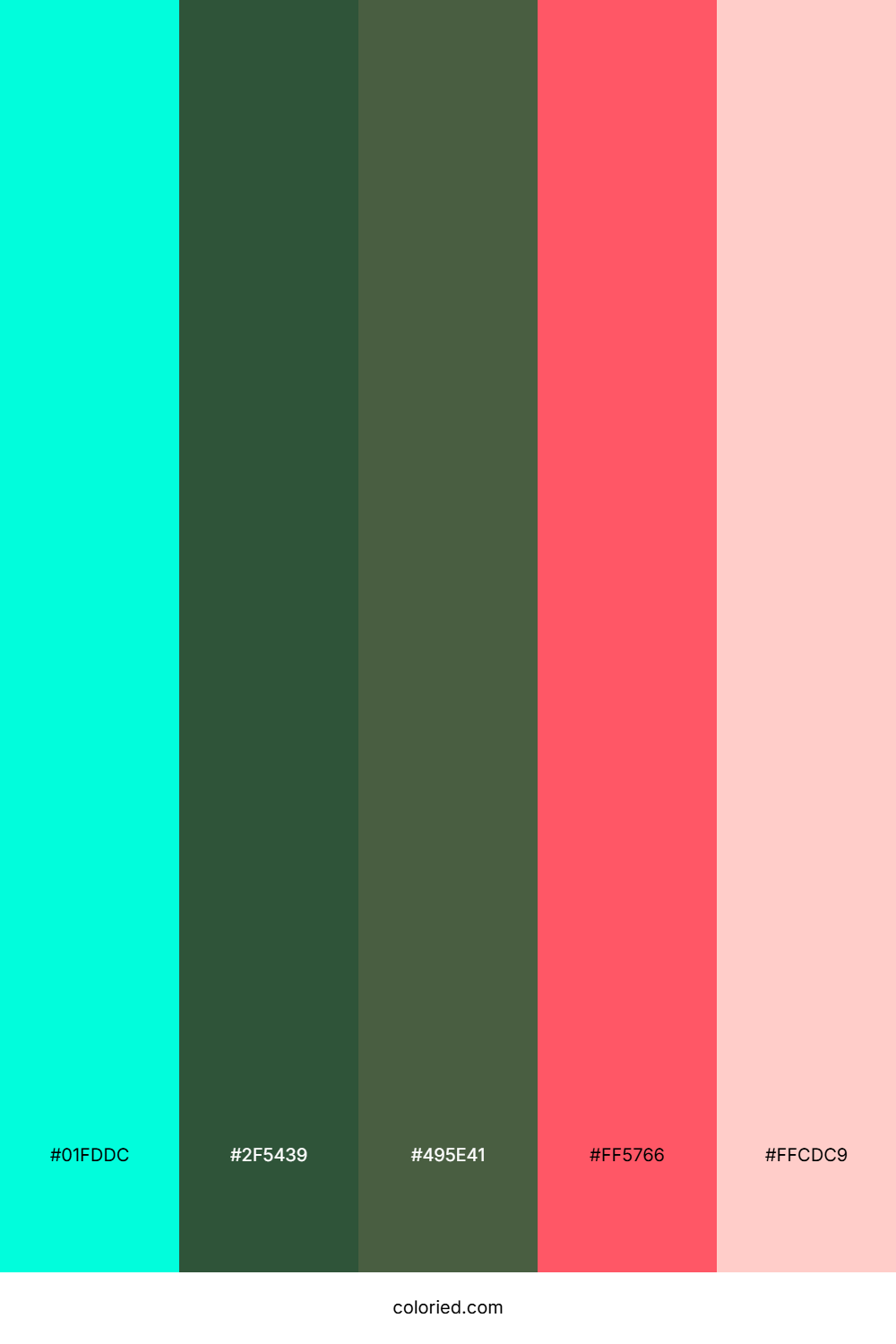 Teal Crimson Color Palette
