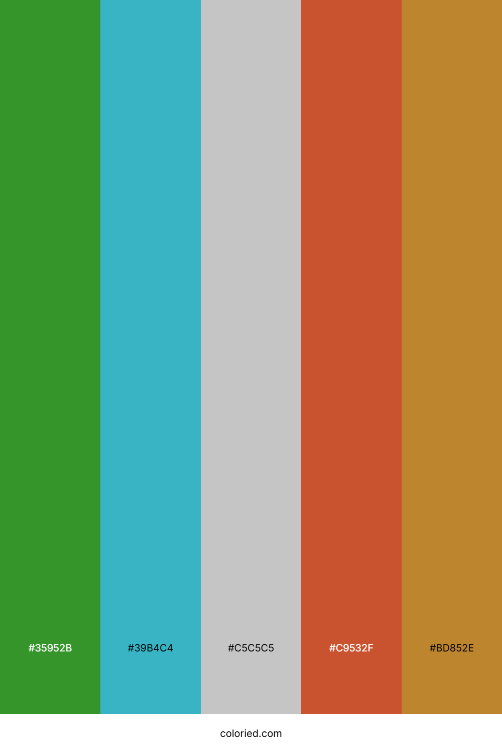 Teal Fern Ember Color Palette