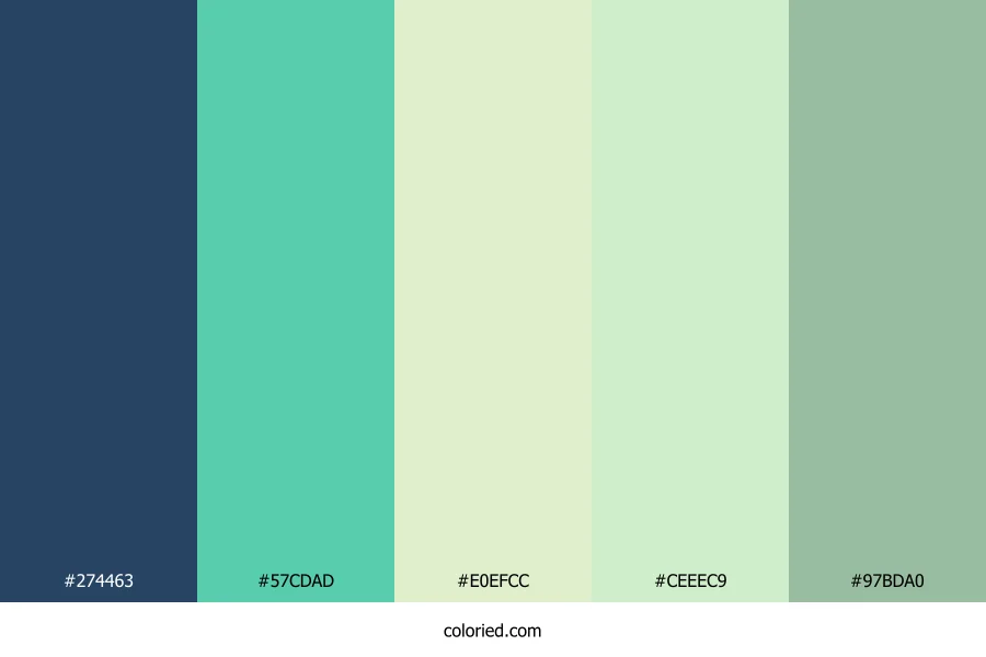 Teal Fern Mist Color Palette