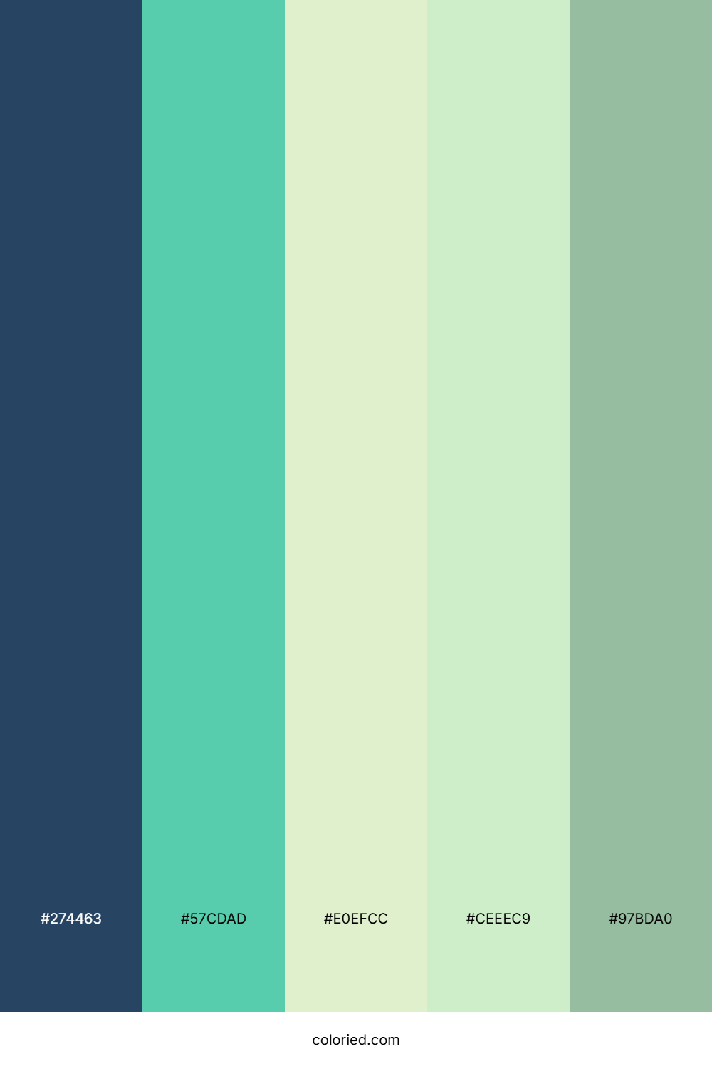 Teal Fern Mist Palette