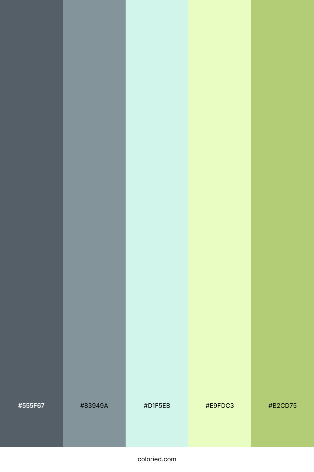 Teal Fern Whisper Palette