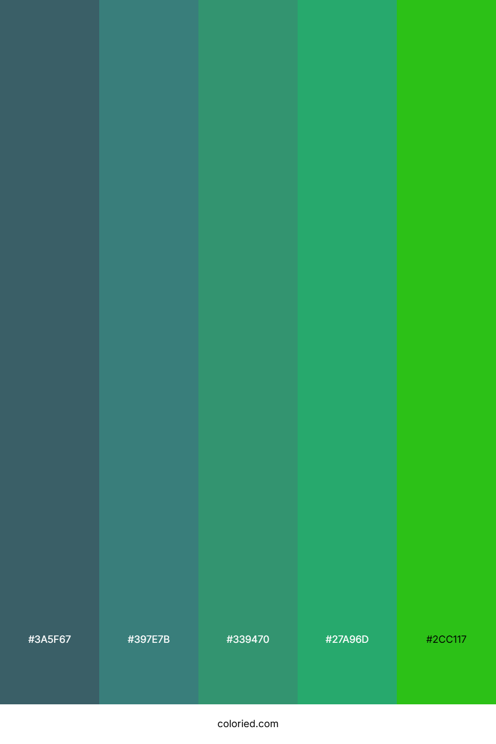 Teal Forest Canopy Color Palette