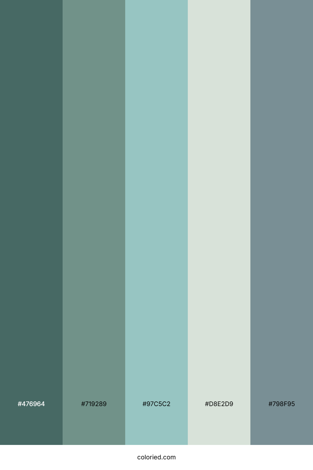 Teal Forest Stream Color Palette