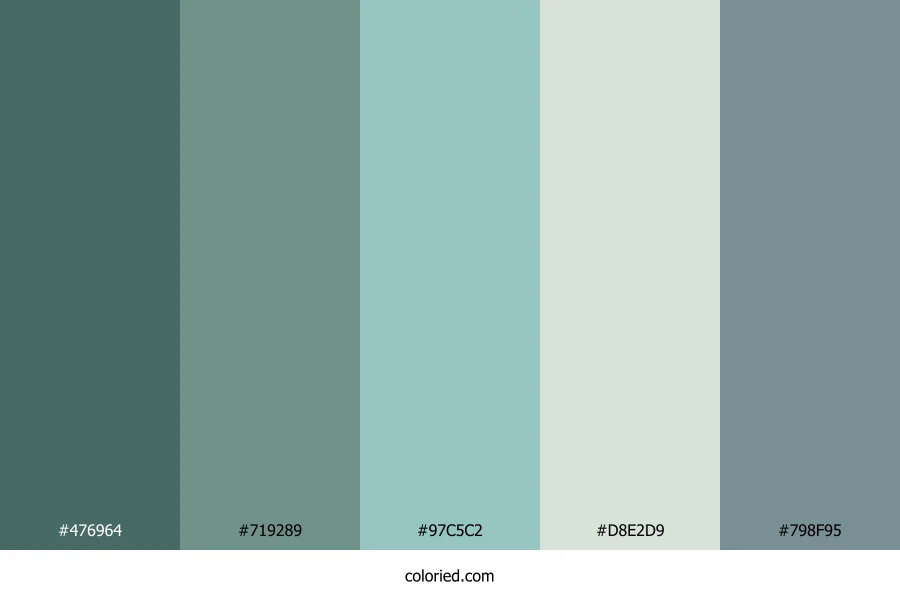 Teal Forest Stream Color Palette