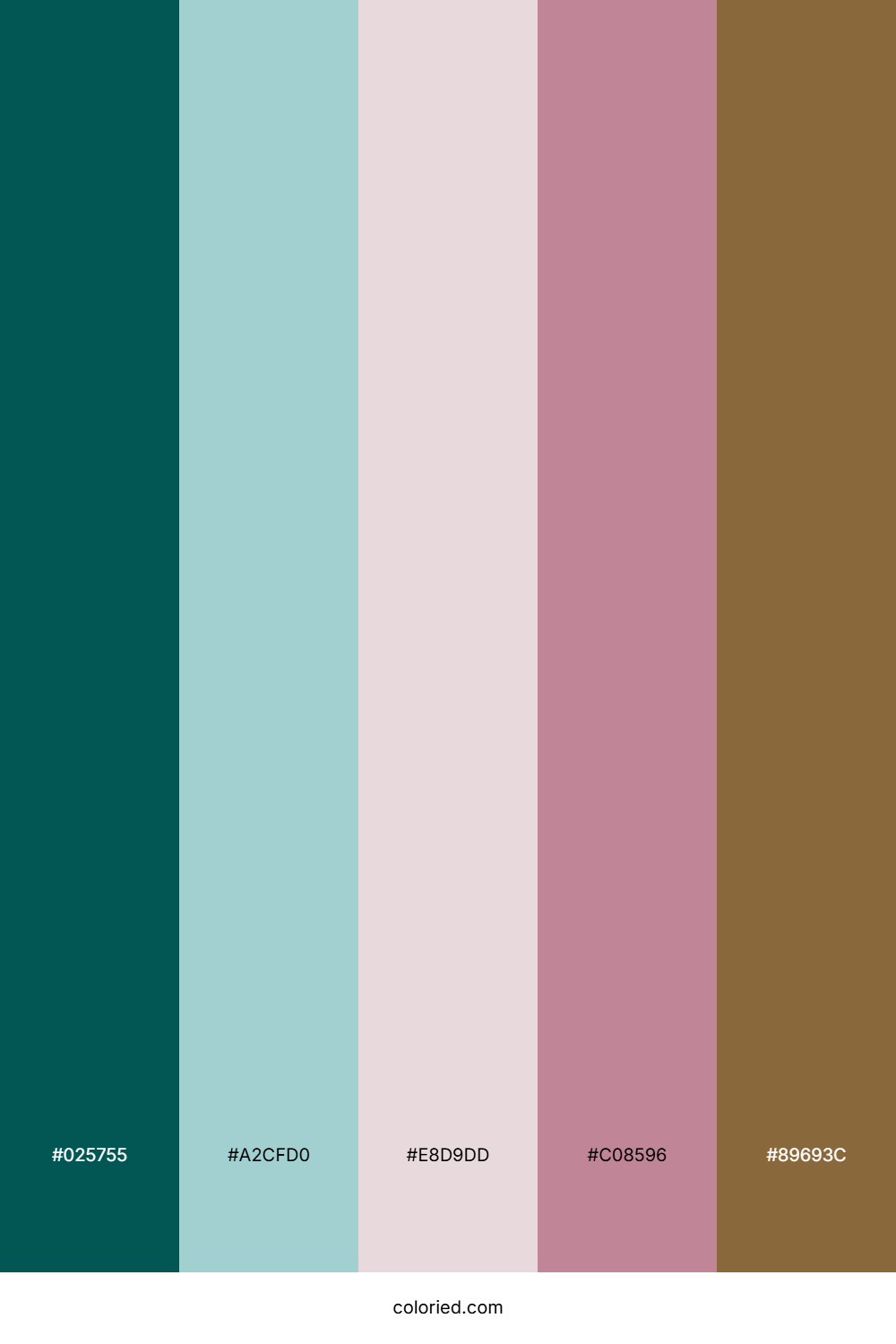 Teal Sandstone Blush Color Palette
