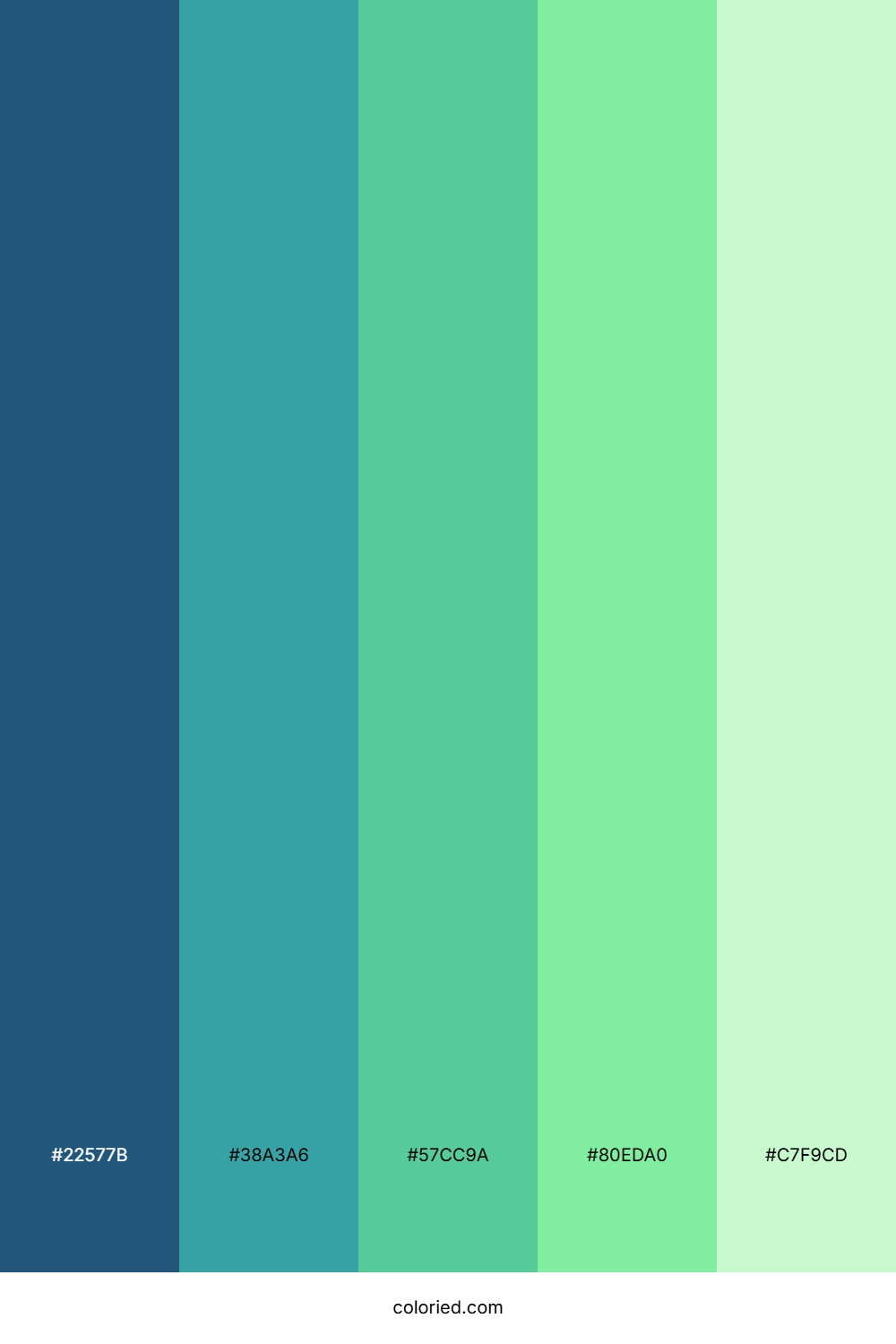 Teal Seafoam Dream Color Palette