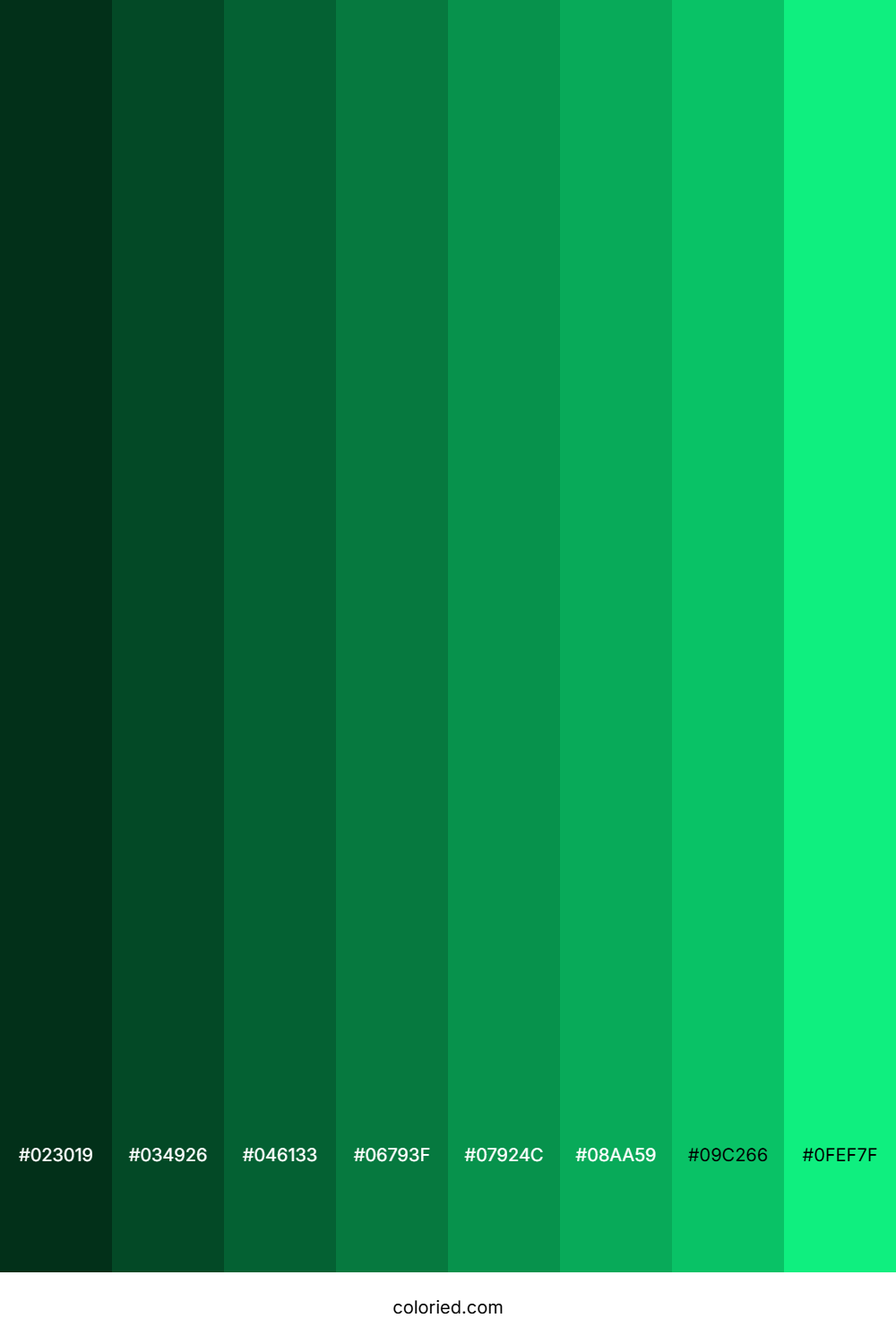 Tealish Green Color Shades