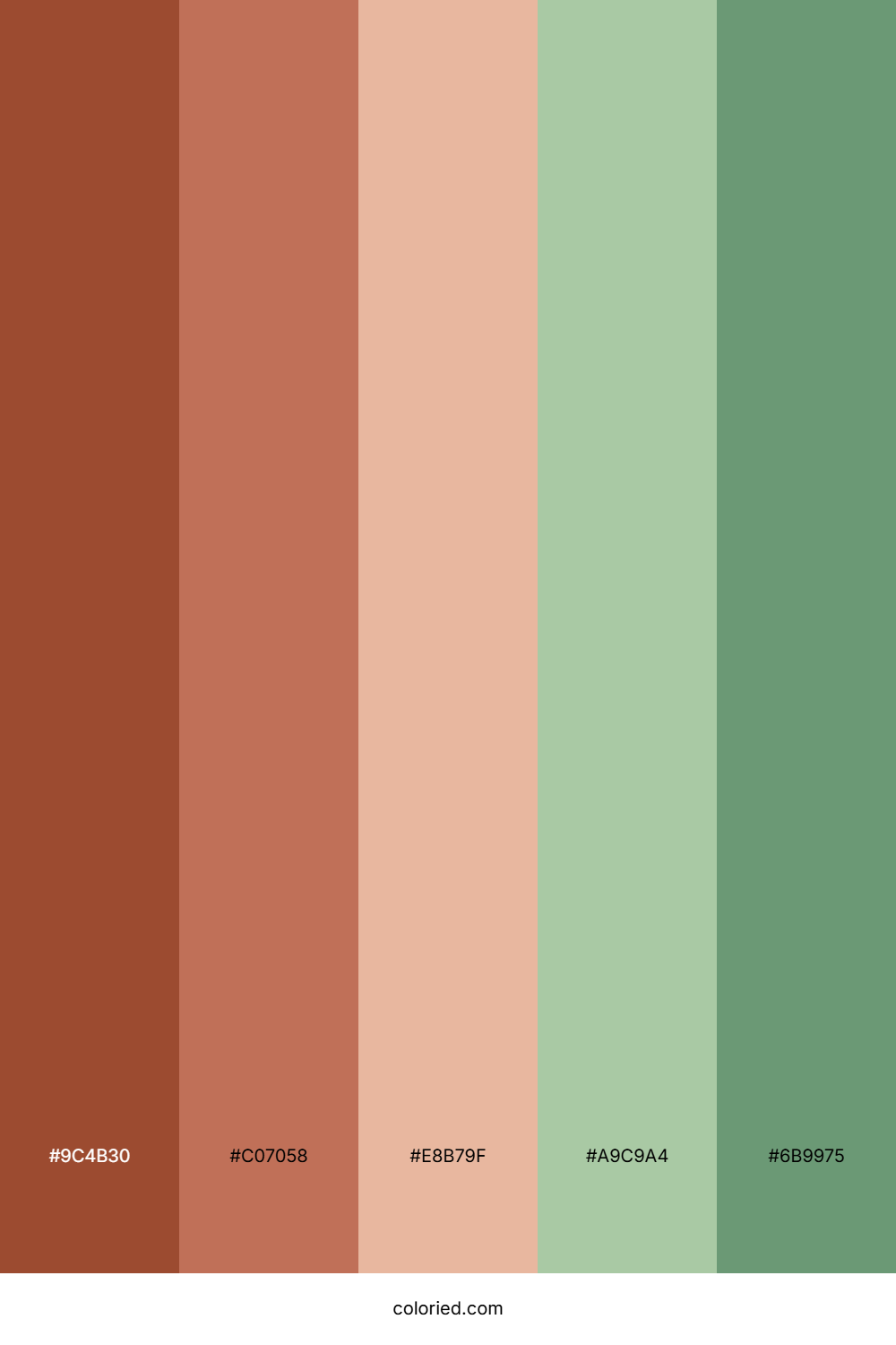 Terracotta and Sage Color Palette
