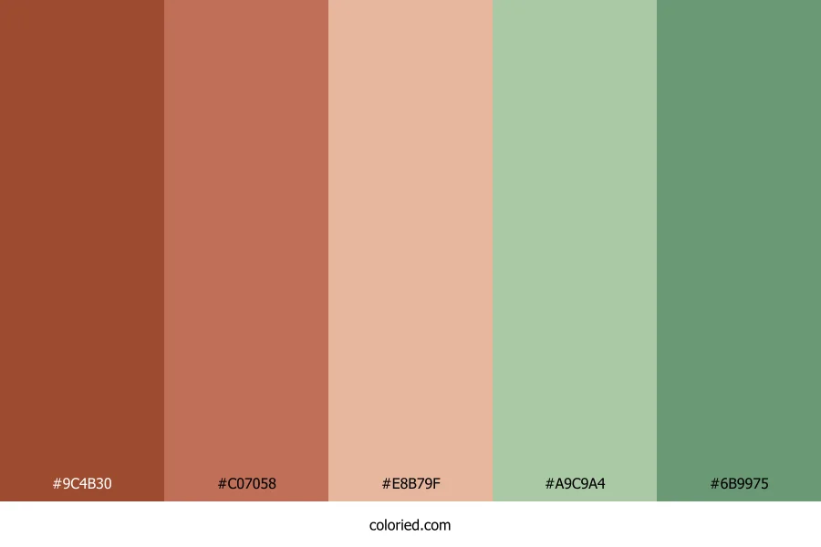 Terracotta and Sage Color Palette