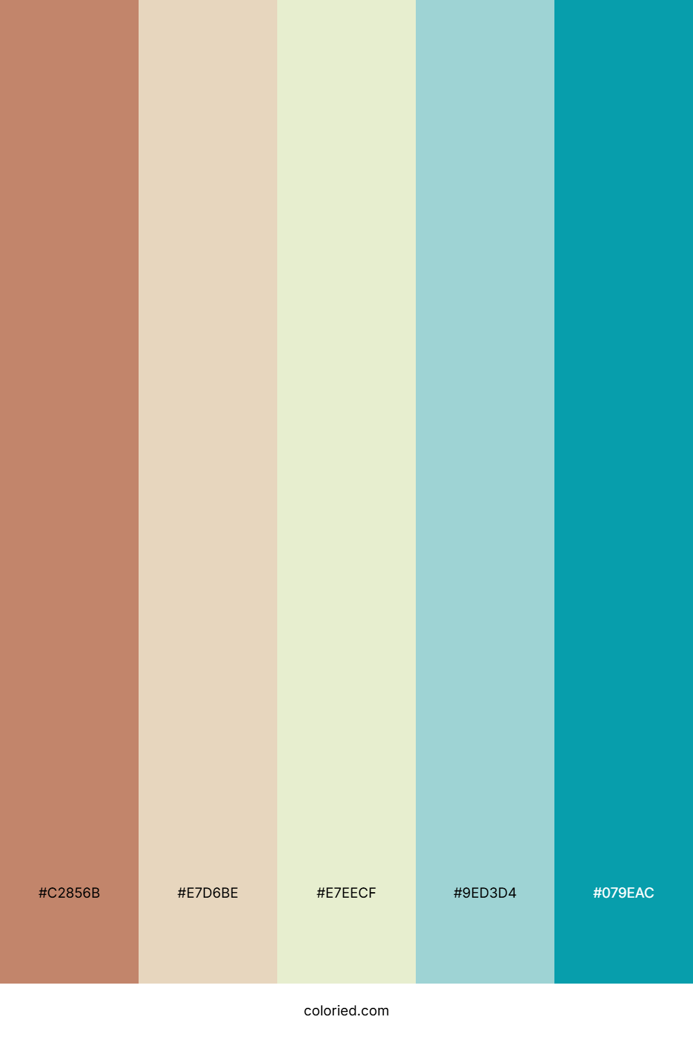 Terracotta Aqua Mist Palette