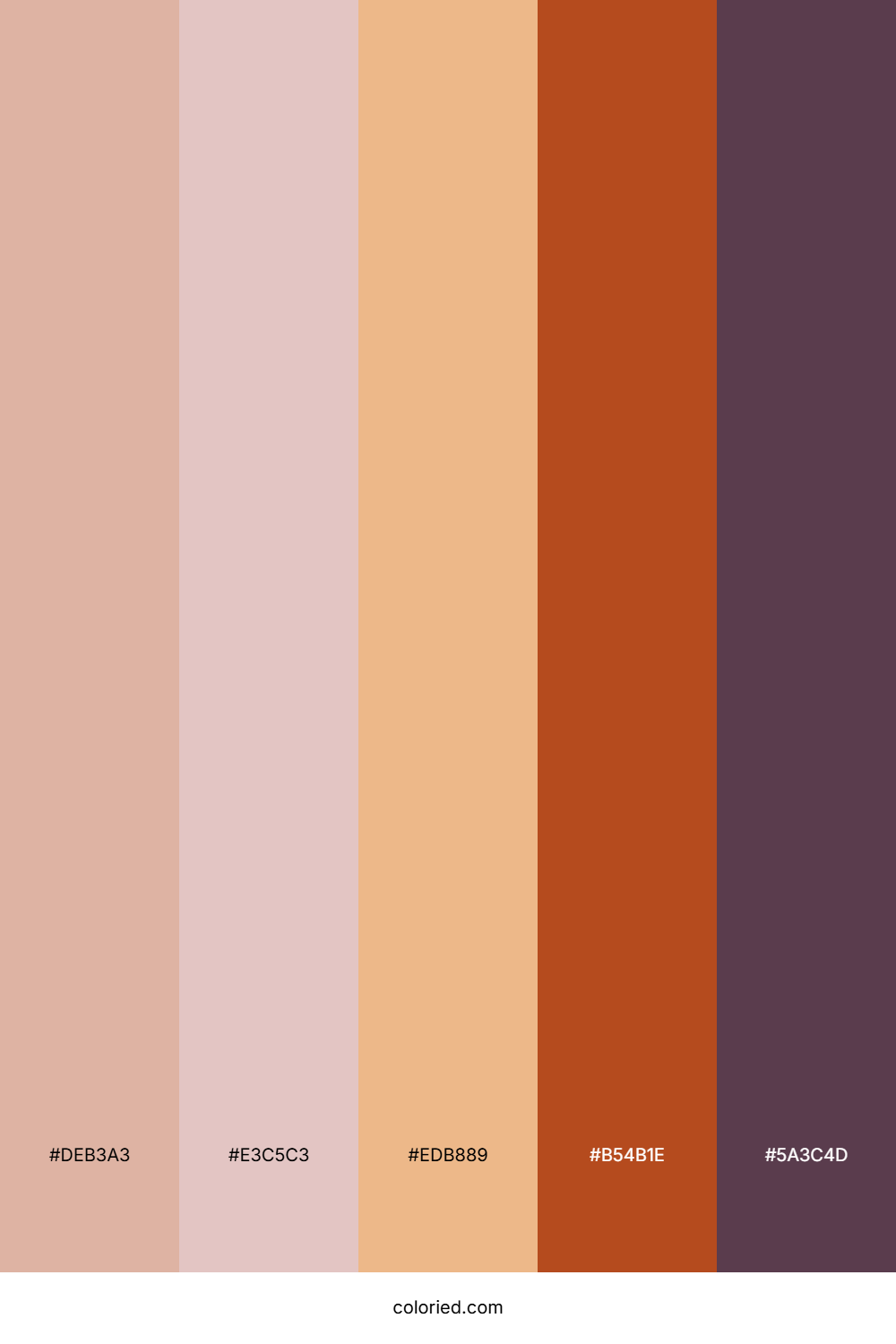 Terracotta Blush Spice Color Palette