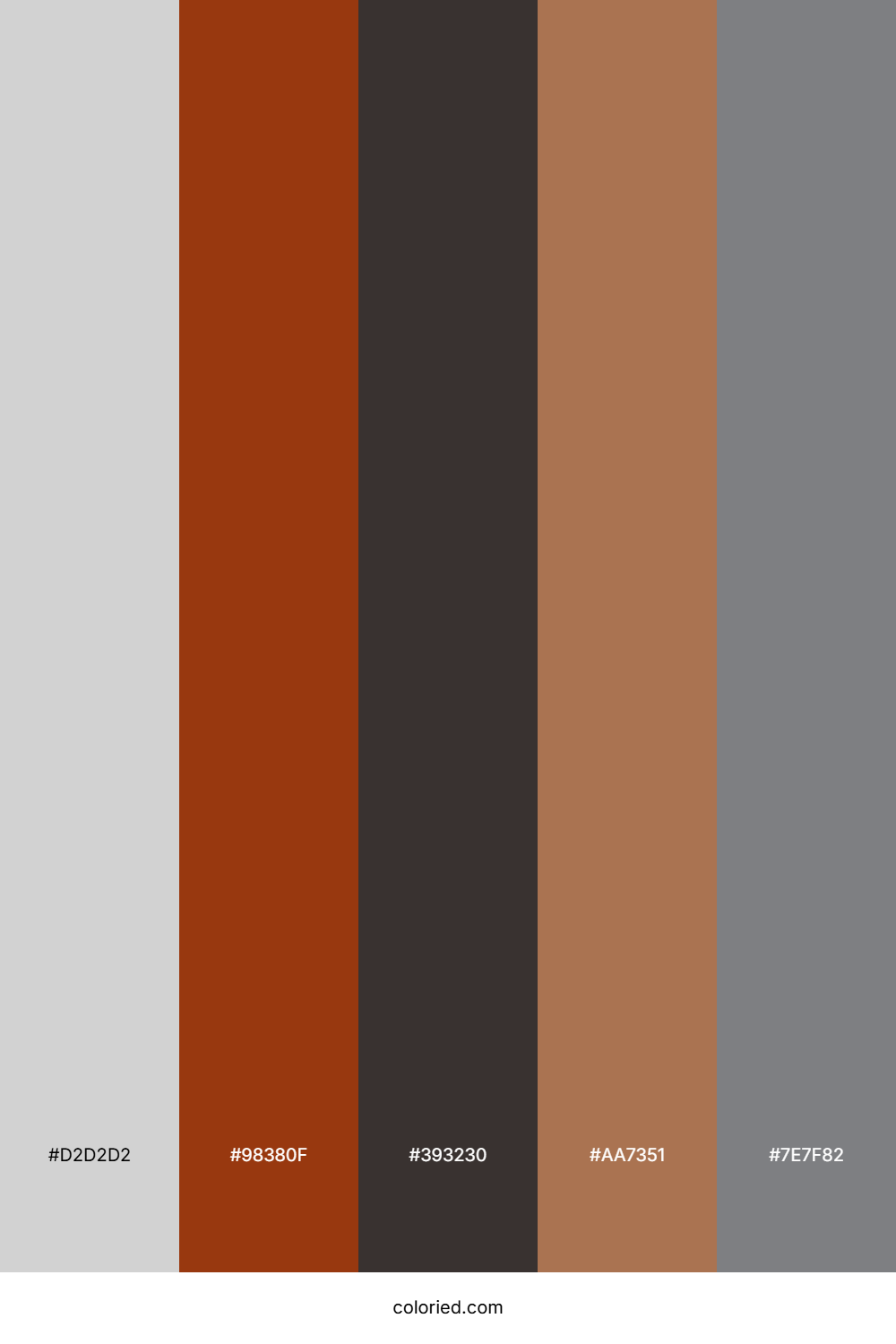 Terracotta Driftstone Color Palette