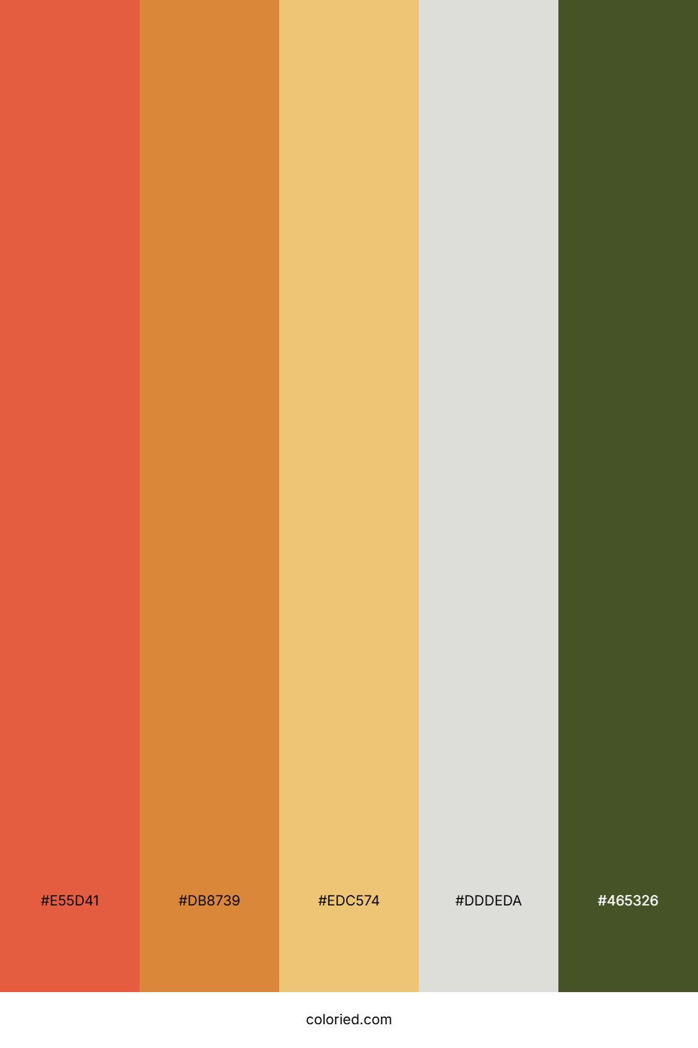 Terracotta Meadow Light Color Palette