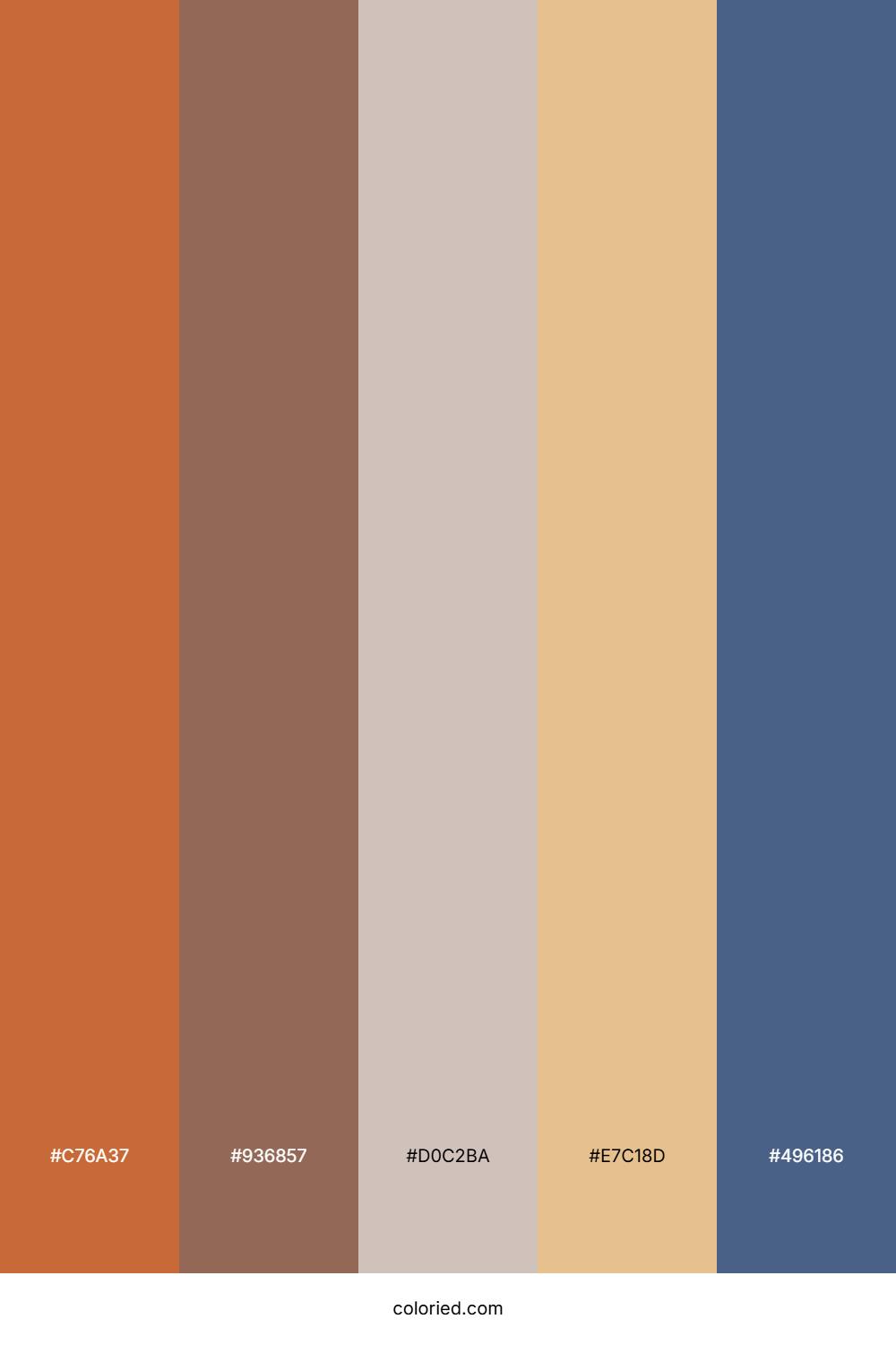 Terracotta Mist Blue Color Palette
