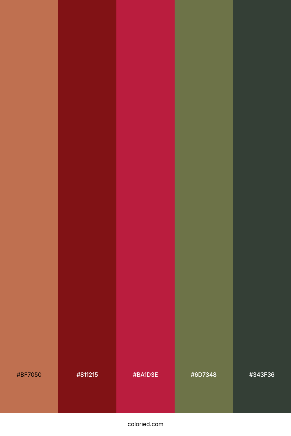 Terracotta Ruby Sage Color Palette
