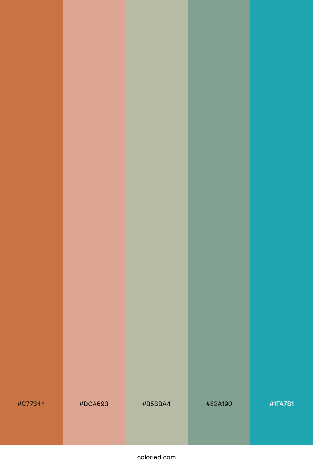 Terracotta Sage Haven Color Palette