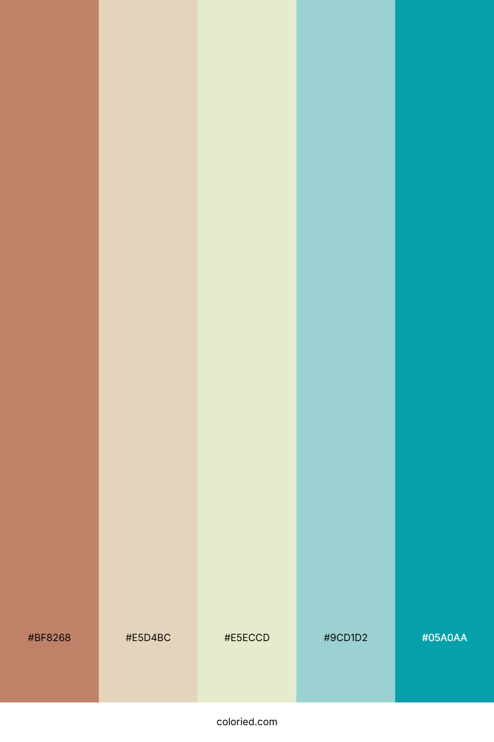 Terracotta Sage Horizon Palette