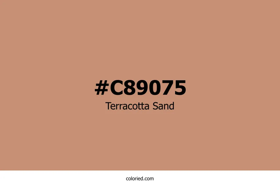 Terracotta Sand Color