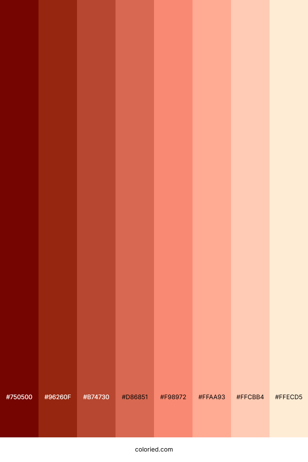 Terracotta Shades