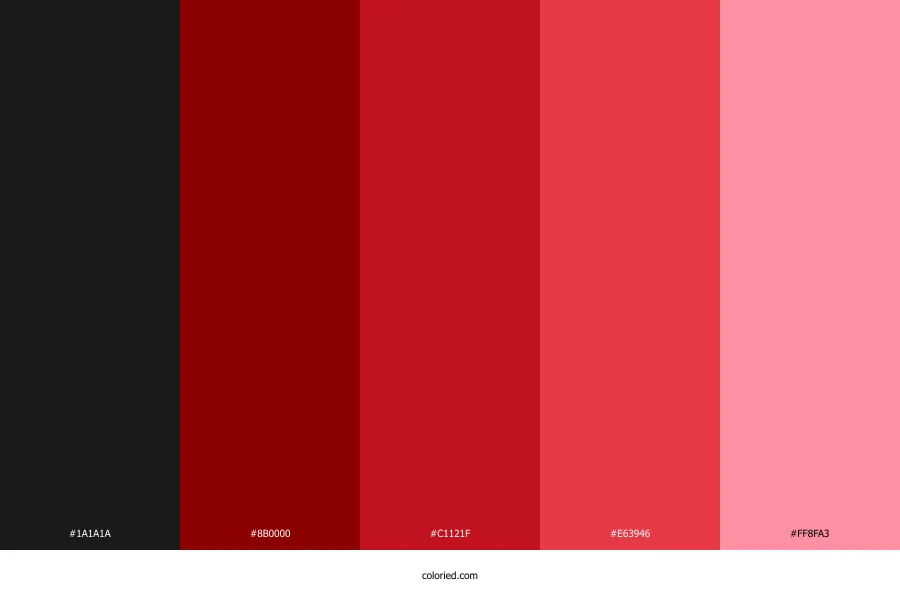 Teto Color Palette