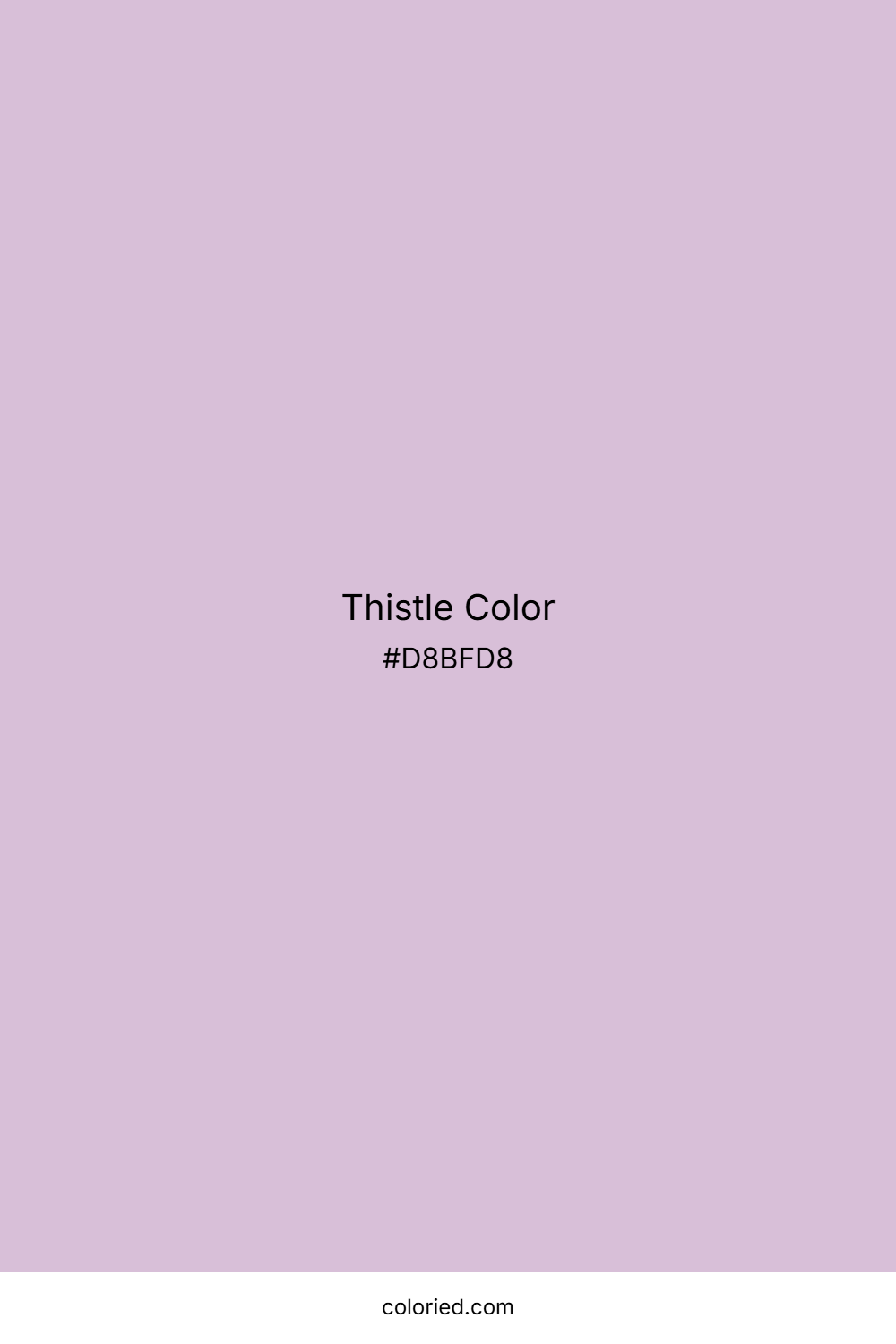 Thistle Color