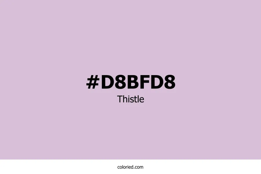 Thistle Color Hex Code
