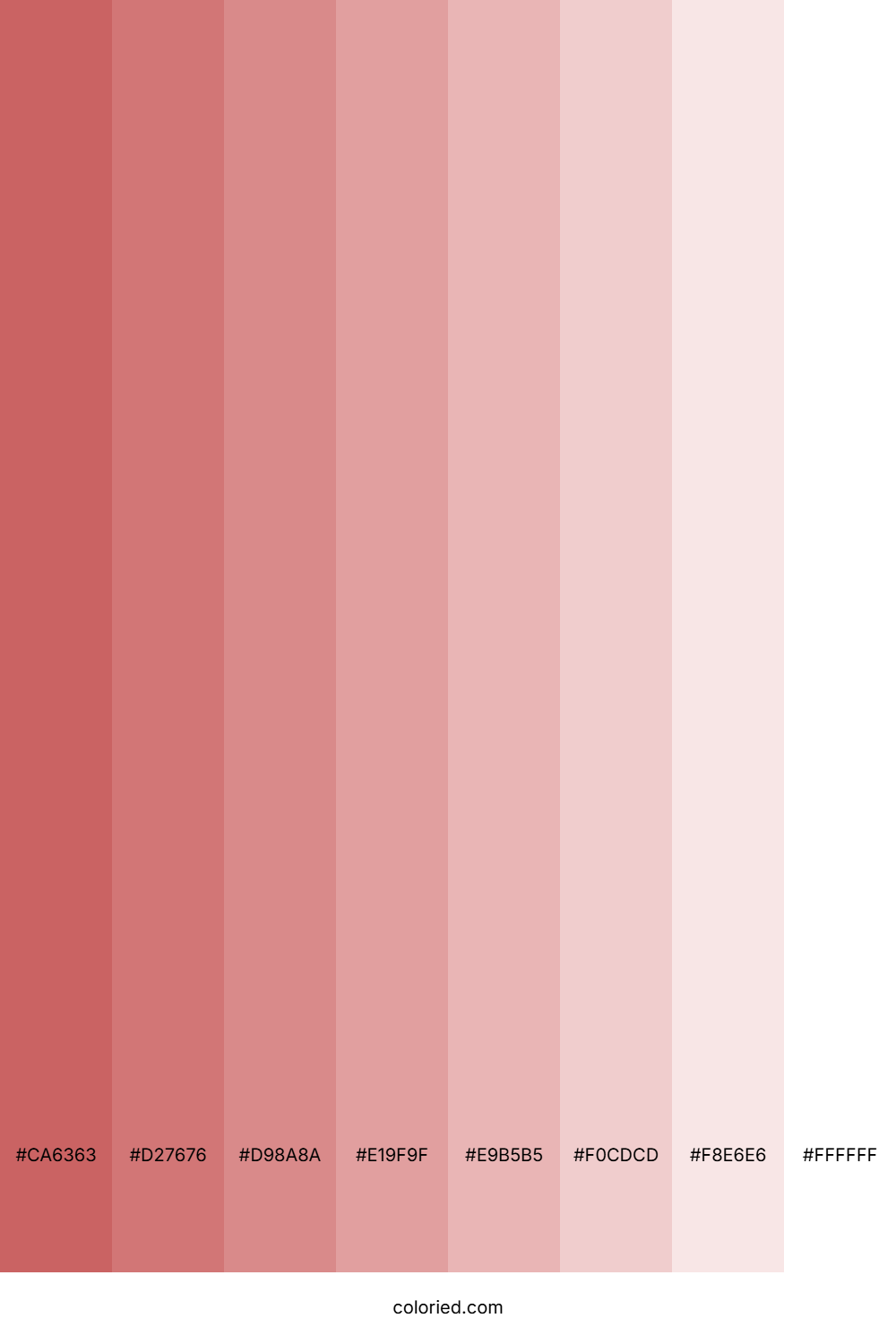 Tints of Dull Red Color Shades
