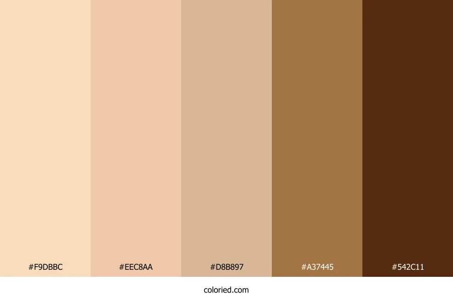 Toasted Almond Brown Color Palette
