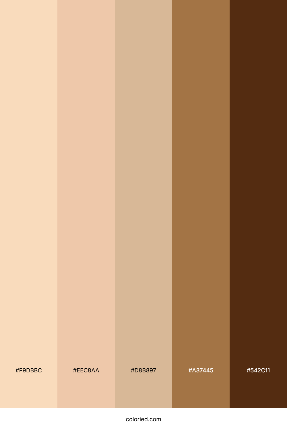 Toasted Almond Brown Palette